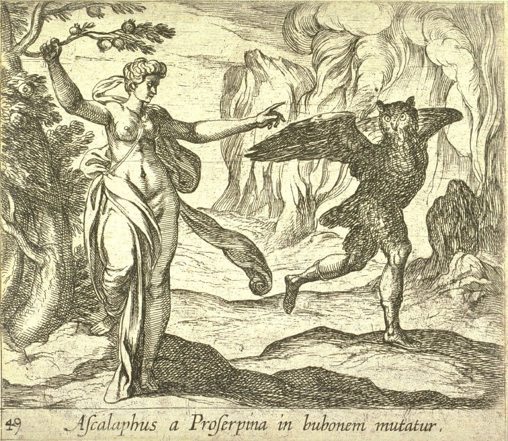 Top Ten Owls In Literature and Mythology Girl with her Head in a Book